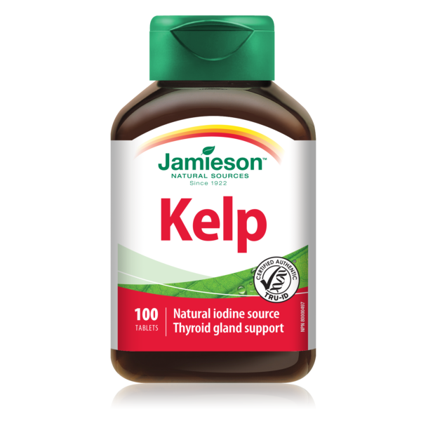Kelp